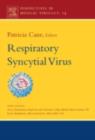 Respiratory Syncytial Virus - eBook
