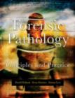 Forensic Pathology : Principles and Practice - eBook