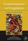 Consciousness and Cognition : Fragments of Mind and Brain - eBook