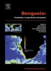 Benguela: Predicting a Large Marine Ecosystem - eBook