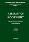 Selected Topics in the History of Biochemistry : Personal Recollections VII - eBook