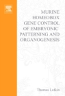 Murine Homeobox Gene Control of Embryonic Patterning and Organogenesis - eBook