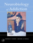 Neurobiology of Addiction - eBook