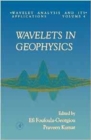 Wavelets in Geophysics - eBook