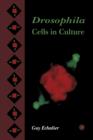 Drosophila Cells in Culture - eBook