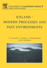 Iceland - Modern Processes and Past Environments - eBook