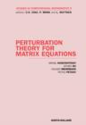 Perturbation Theory for Matrix Equations - eBook