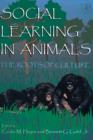 Social Learning In Animals : The Roots of Culture - eBook