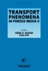 Transport Phenomena in Porous Media II - eBook