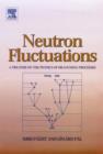 Neutron Fluctuations : A Treatise on the Physics of Branching Processes - eBook