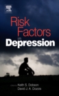 Risk Factors in Depression - eBook