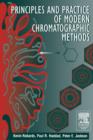 Principles and Practice of Modern Chromatographic Methods - eBook