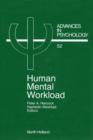 Human Mental Workload - eBook