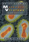 Principles of Molecular Virology (Standard Edition) - eBook