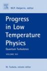 Progress in Low Temperature Physics : Quantum Turbulence - eBook