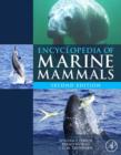 Encyclopedia of Marine Mammals - eBook