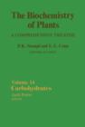 The Biochemistry of Plants : Carbohydrates - eBook