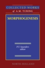 Morphogenesis - eBook