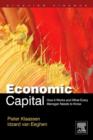 Economic Capital : How It Works, and What Every Manager Needs to Know - eBook