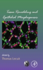 Tissue Remodeling and Epithelial Morphogenesis - eBook