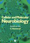 Cellular and Molecular Neurobiology - eBook