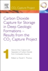 Carbon Dioxide Capture for Storage in Deep Geologic Formations - Results from the CO2 Capture Project : Vol 1 - Capture and Separation of Carbon Dioxide from Combustion - eBook