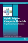 Hybrid Polymer Composite Materials : Properties and Characterisation - eBook