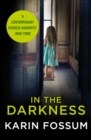In the Darkness : An Inspector Sejer Novel - Book