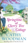 Springtime at Cherry Tree Cottage : (Talyton St George) - Book