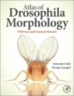 Atlas of Drosophila Morphology : Wild-type and Classical Mutants - eBook