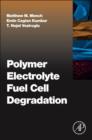 Polymer Electrolyte Fuel Cell Degradation - eBook