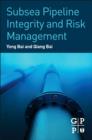 Subsea Pipeline Integrity and Risk Management - eBook