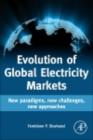 Evolution of Global Electricity Markets : New paradigms, new challenges, new approaches - eBook
