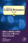 Advances in Cancer Research : AEG-1/MTDH/Lyric Implicated in Multiple Human Cancers - eBook