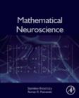 Mathematical Neuroscience - eBook