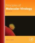 Principles of Molecular Virology - eBook