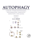 Autophagy: Cancer, Other Pathologies, Inflammation, Immunity, Infection, and Aging : Volume 9: Human Diseases and Autophagosome - eBook