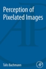 Perception of Pixelated Images - eBook