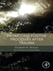 Promoting Positive Processes after Trauma - eBook