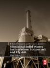 Pollution Control and Resource Recovery : Municipal Solid Wastes Incineration: Bottom Ash and Fly Ash - eBook