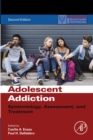 Adolescent Addiction : Epidemiology, Assessment, and Treatment - eBook