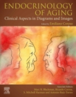 Endocrinology of Aging : Clinical Aspects in Diagrams and Images - eBook