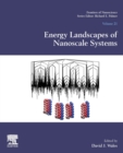 Energy Landscapes of Nanoscale Systems : Volume 21 - Book