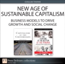 New Age of Sustainable Capitalism - eBook