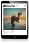 Adobe Photoshop Lightroom Classic Classroom in a Book (2022 release) - eBook