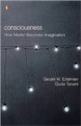 Consciousness : How Matter Becomes Imagination - Book