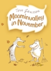 Moominvalley in November - eBook