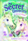 My Secret Unicorn: A Special Friend - eBook