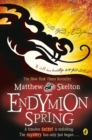 Endymion Spring - eBook