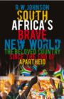 South Africa's Brave New World : The Beloved Country Since the End of Apartheid - eBook